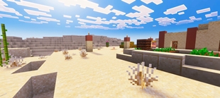 Screenshot 29