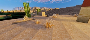 Screenshot 34