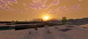 Screenshot 35