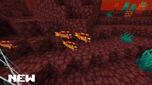 searing_school_new.png
