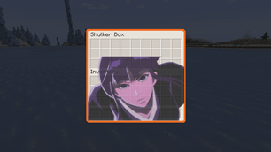 Shulker Box