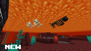 skeleton_school_new.png