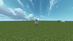Screenshot 30