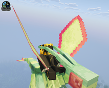 Fly through the skys with your partner!