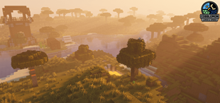 Amazing Shaders that run like butter