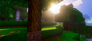 Screenshot 20