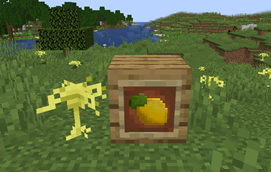 Lemon/Lemon Plant