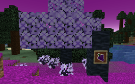 Grape Biome
