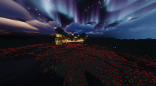 village2
