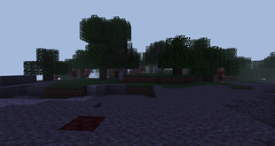 Example of a dimension