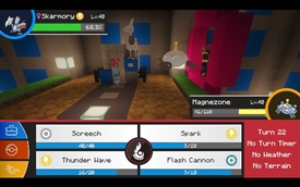 Skyla's Gym