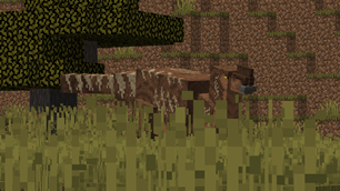 Coahuilasaurus