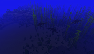 Pack of Metriorhynchus swimming around kelps