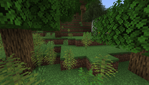 Plant