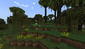 Swamp looks more majestic with a few new plants now