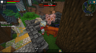 Feeding pigs 2
