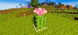 Screenshot 24