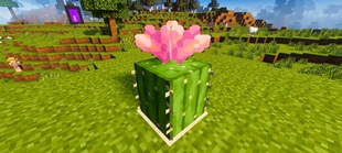 Screenshot 26