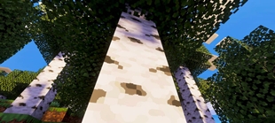 Screenshot 29
