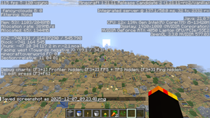 Village top down with F3 menu