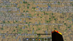 Village top down with F3 menu
