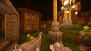 The Village