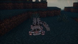 Snow Leopard