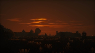 The Sunset