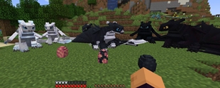 All fury species and eggs