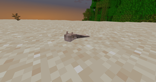 Sand Viper