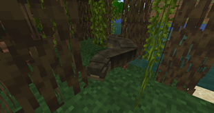 Anaconda