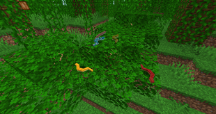 Colorful Snakes