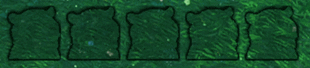 kitch.gif