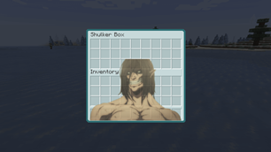 Shulker Box