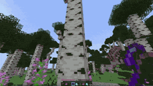 Pi7_GIF_CMP (3).gif