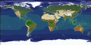 Map Earth 1/1000.png