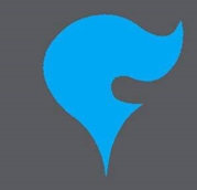 Team Blue Flare Logo
