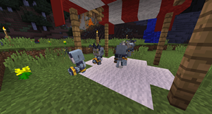 Some Veilings chilling