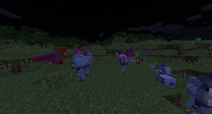 Veilings wrapping up combat