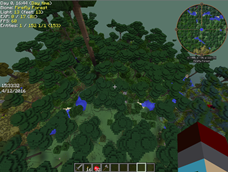 Twilight Forest One