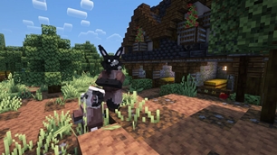 Villagers