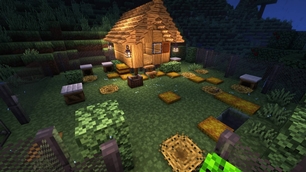 Chicken Coop