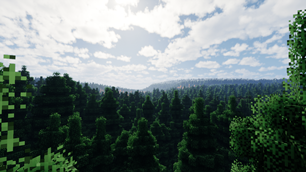 Spruce forest