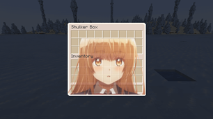 Shulker Box