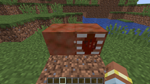 Flesh Blocks