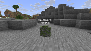 New grave block display v3.0.0