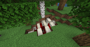 Ribcage poking through the ground