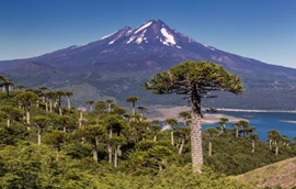 istockphoto-671366134-612x612.jpg