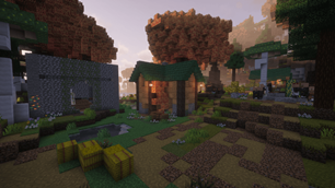 Even More Magic earth wizard house_Oh the Biomes Weve Gone salem village.png