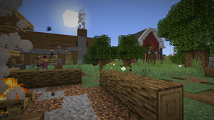 Survivor camps